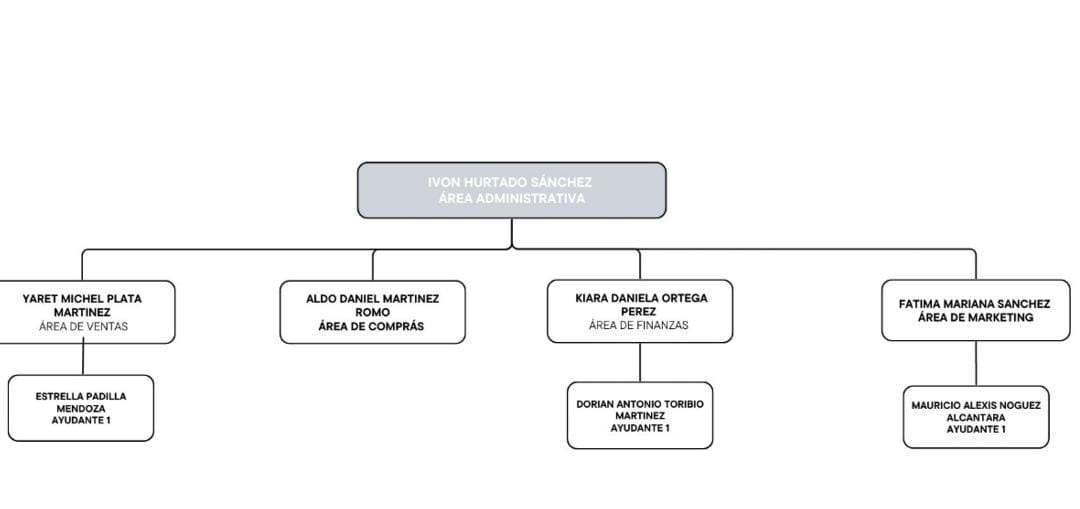 Organigrama de la empresa